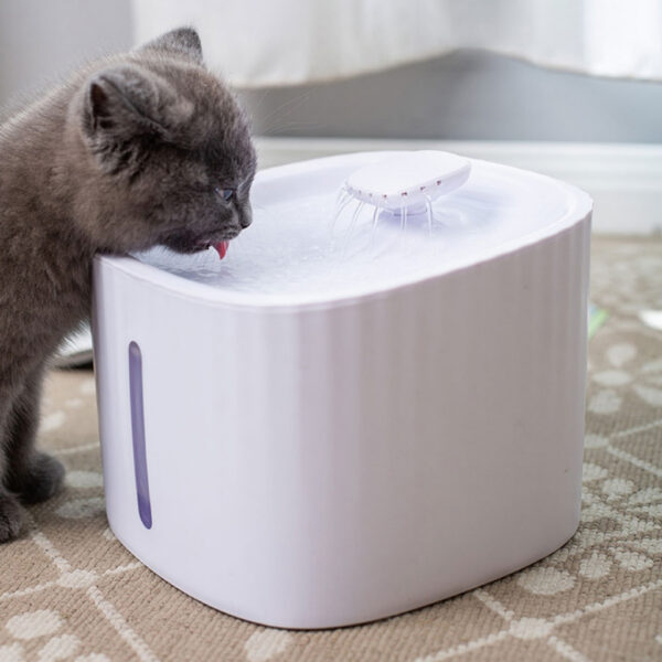 Bebedouro para Gato - Imagem 2