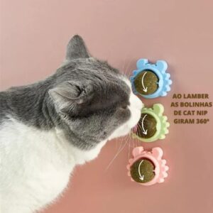 Bolinha De Catnip