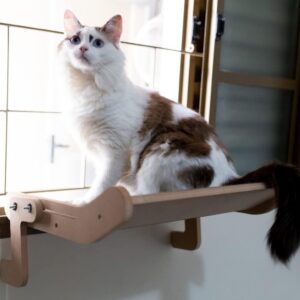 Cama Suspensa para Gatos Prateleira